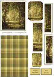 Summer Woodland