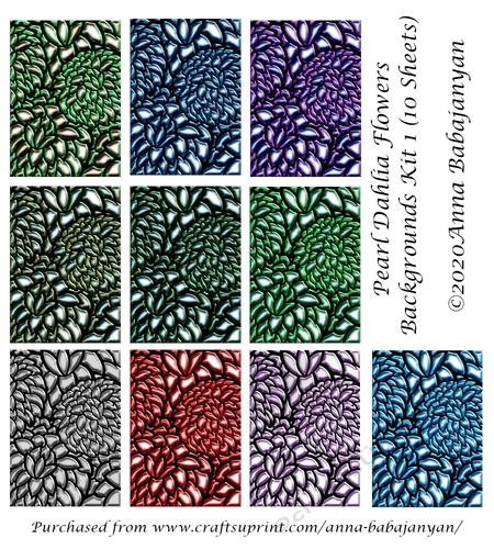 Pearl Dahlia Flowers Backgrounds Kit 1