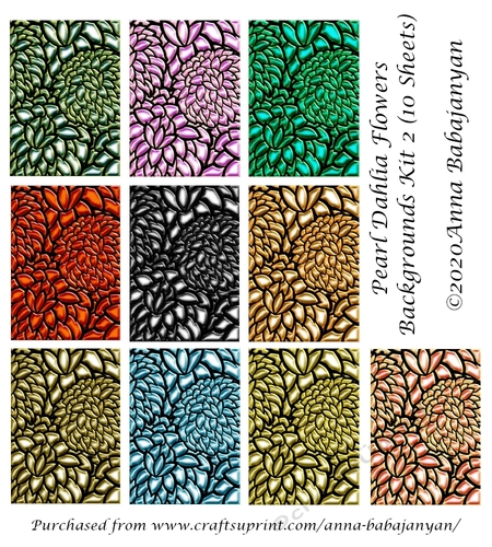 Pearl Dahlia Flowers Backgrounds Kit 2