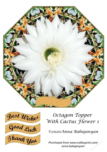 Octagon Topper With Cactus Flower 1
