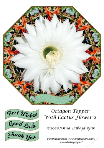 Octagon Topper With Cactus Flower 2