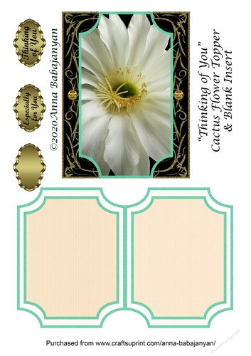 Thinking of You Cactus Flower Topper & Blank Insert