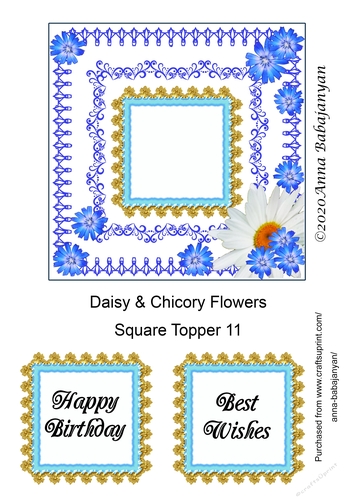 Daisy & Chicory Flowers Square Topper 11