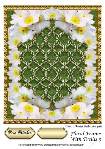 Floral Frame With Trellis 3