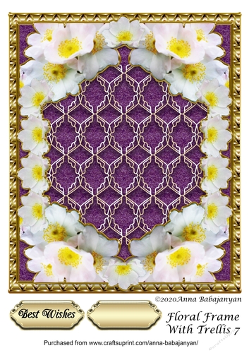 Floral Frame With Trellis 7