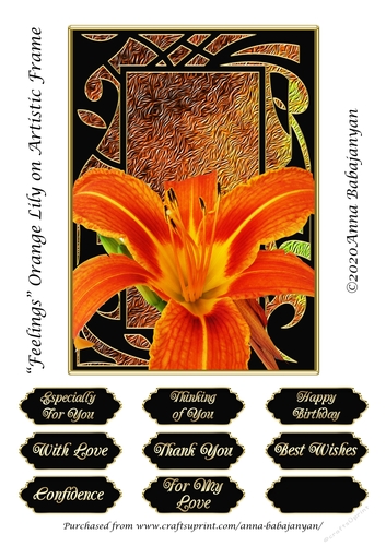 Feelings Orange Lily on Artistic Frame