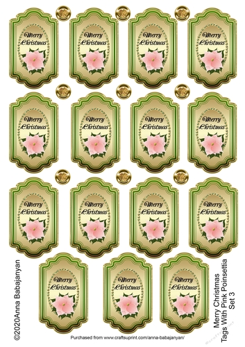 Merry Christmas Tags With Pink Poinsettia Set 3