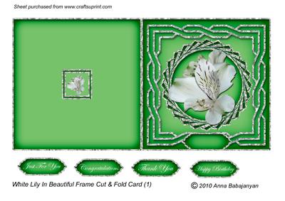 White Lily in Beautiful Frame Cut & Fold Card 1