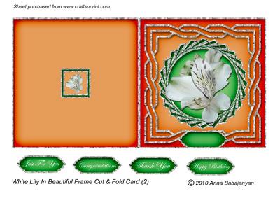 White Lily in Beautiful Frame Cut & Fold Card 2