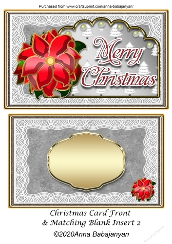 Christmas Card Front & Matching Blank Insert 2