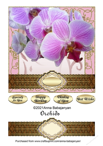 Orchids