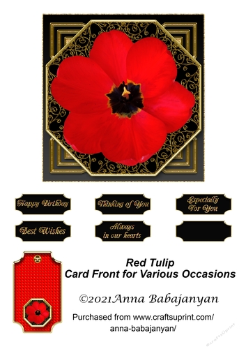 Red Tulip Card Front for Various Occasions
