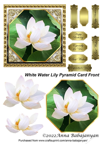 White Water Lily Pyramid Card Front