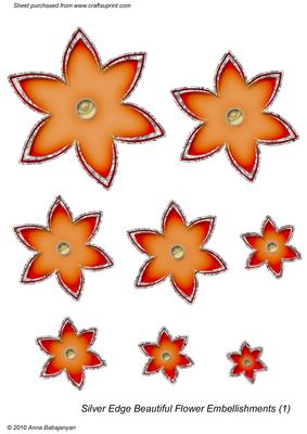 Silver Edge Beautiful Flower Embellishments 1