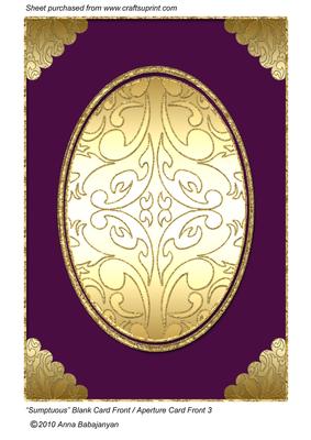 Sumptuous Blank Card Front / Aperture Card Front 3