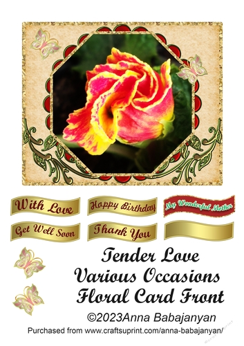 Tender Love Various Occasions Floral Card Front