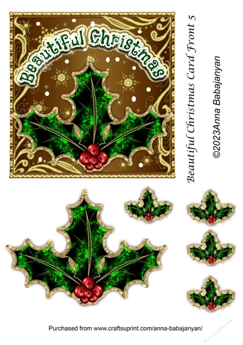 Beautiful Christmas Card Front 5