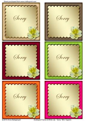Scalloped Frame & White Lily "sorry" Mini Toppers