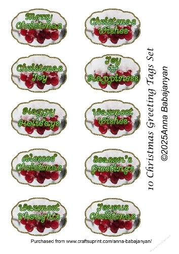 10 Christmas Greeting Tags Set