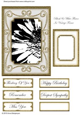 Black & White Flower in Vintage Frame