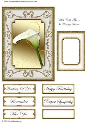 White Calla Flower in Vintage Frame