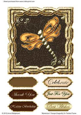 Mysterious Orange Dragonfly on Twisted Frame