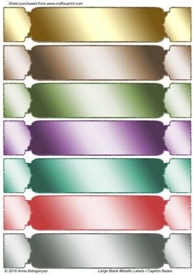 Large Blank Metallic Labels / Caption Bases