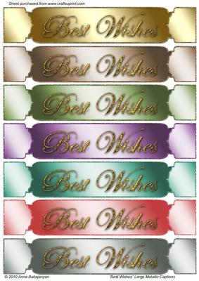 Best Wishes Large Metallic Captions