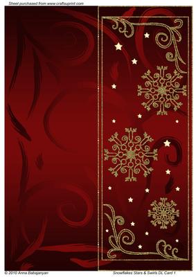 Snowflakes Stars & Swirls Dl Card 1