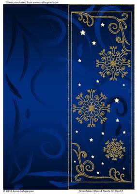 Snowflakes Stars & Swirls Dl Card 2