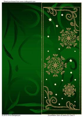 Snowflakes Stars & Swirls Dl Card 3