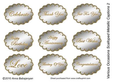 Various Occasions Scalloped Metallic Captions 2