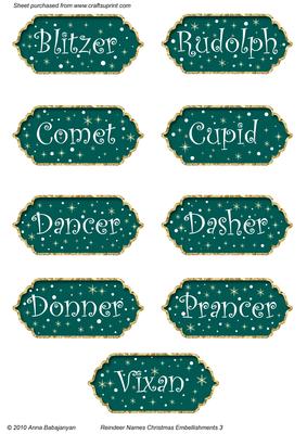 Reindeer Names Christmas Embellishments 3