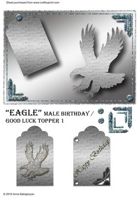 Eagle Male Birthday / Good Luck Topper 1