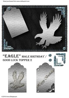 Eagle Male Birthday / Good Luck Topper 2