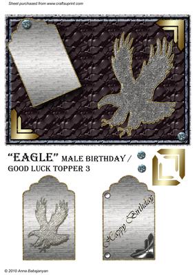 Eagle Male Birthday / Good Luck Topper 3