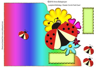 Ladybird Birthday/ Easter Cut & Fold Card