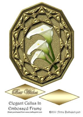 Elegant Callas in Embossed Frame