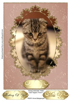 Simply Adorable Kitten Card Topper/ Front 1