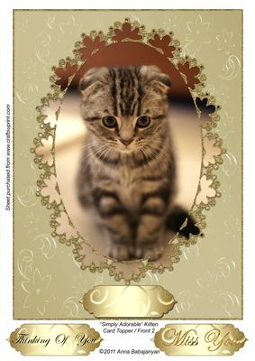 Simply Adorable Kitten Card Topper/ Front 2