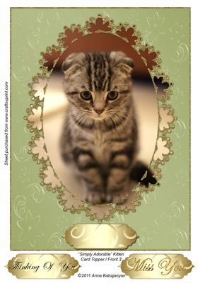 Simply Adorable Kitten Card Topper/ Front 3