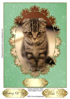 Simply Adorable Kitten Card Topper/ Front 4