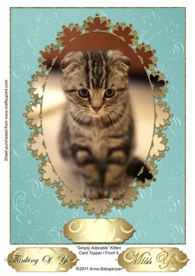 Simply Adorable Kitten Card Topper/ Front 5