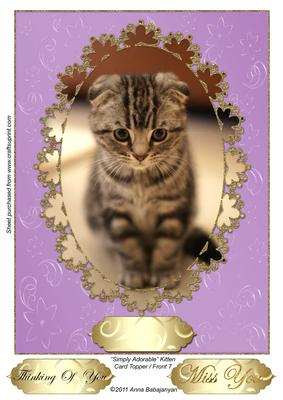 Simply Adorable Kitten Card Topper/ Front 7