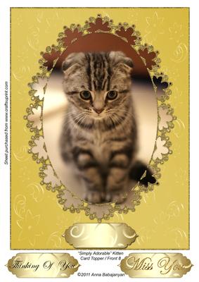Simply Adorable Kitten Card Topper/ Front 8