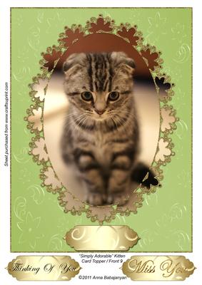 Simply Adorable Kitten Card Topper/ Front 9