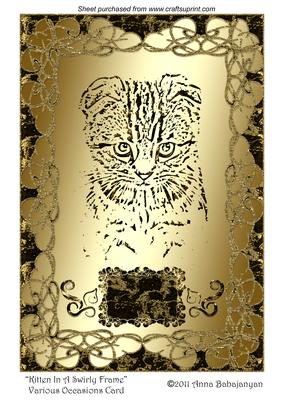 Kitten in a Swirly Frame Various Occasions Card