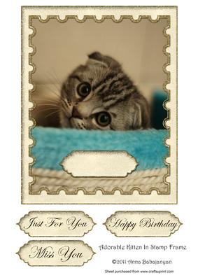 Adorable Kitten in Stamp Frame