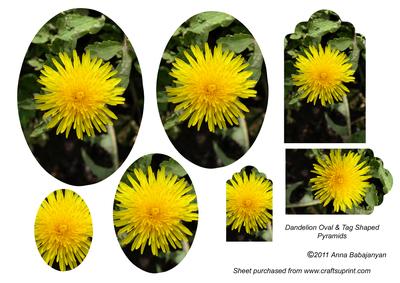 Dandelion Oval & Tag Shaped Pyramids