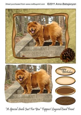 A Special Smile Just for You Topper / Layered Card Front